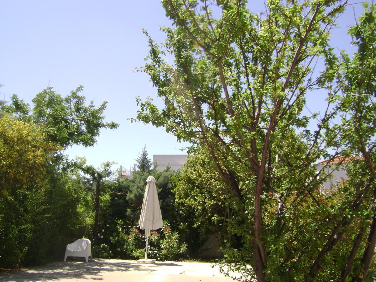 Planitas Villas スコペロス エクステリア 写真